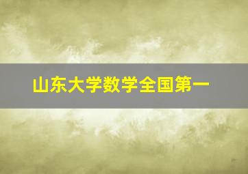 山东大学数学全国第一