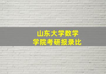 山东大学数学学院考研报录比