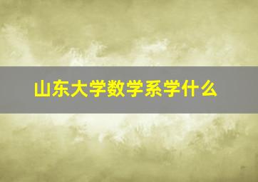 山东大学数学系学什么