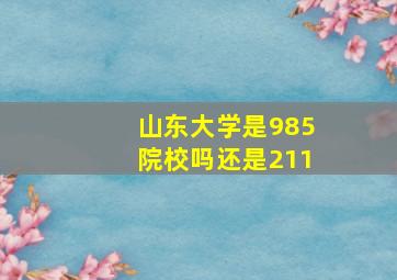 山东大学是985院校吗还是211