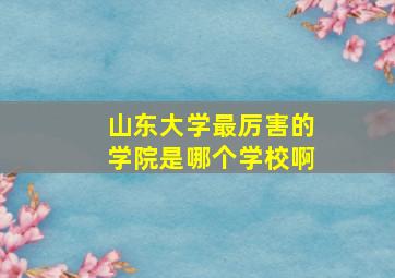 山东大学最厉害的学院是哪个学校啊