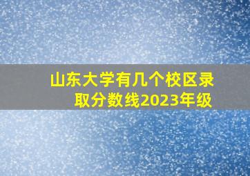 山东大学有几个校区录取分数线2023年级