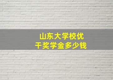 山东大学校优干奖学金多少钱