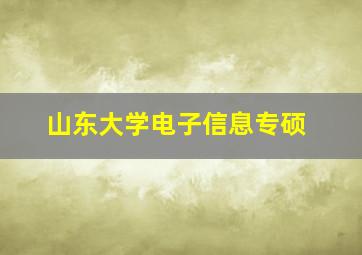 山东大学电子信息专硕