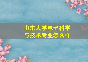 山东大学电子科学与技术专业怎么样