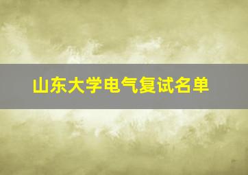 山东大学电气复试名单