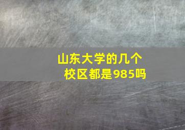 山东大学的几个校区都是985吗