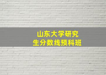 山东大学研究生分数线预科班