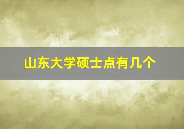 山东大学硕士点有几个