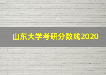 山东大学考研分数线2020