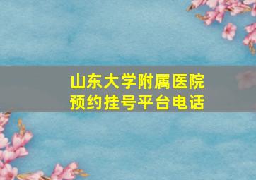 山东大学附属医院预约挂号平台电话