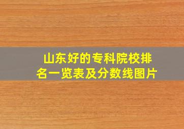 山东好的专科院校排名一览表及分数线图片