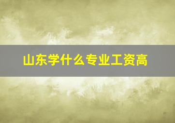 山东学什么专业工资高