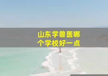 山东学兽医哪个学校好一点