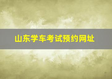 山东学车考试预约网址