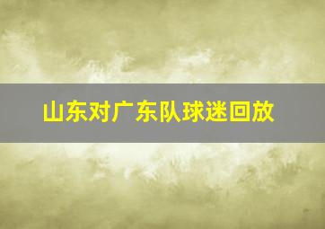 山东对广东队球迷回放