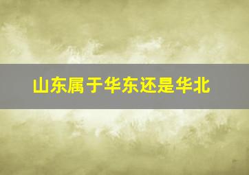 山东属于华东还是华北