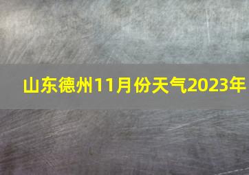 山东德州11月份天气2023年