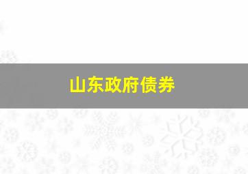 山东政府债券