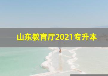 山东教育厅2021专升本