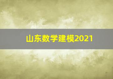 山东数学建模2021