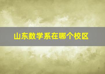 山东数学系在哪个校区