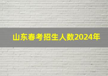 山东春考招生人数2024年