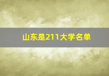 山东是211大学名单