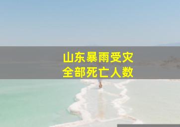 山东暴雨受灾全部死亡人数