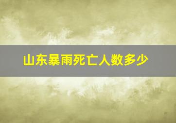 山东暴雨死亡人数多少