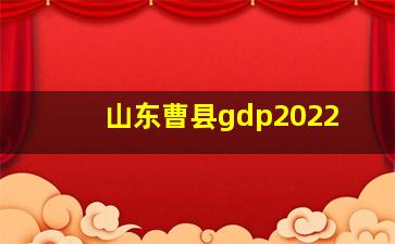 山东曹县gdp2022