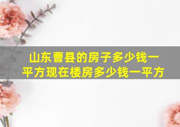 山东曹县的房子多少钱一平方现在楼房多少钱一平方