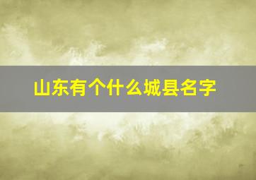 山东有个什么城县名字