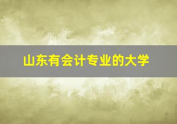 山东有会计专业的大学