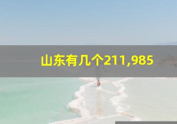 山东有几个211,985