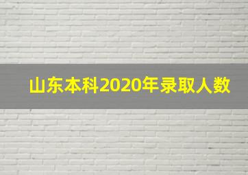 山东本科2020年录取人数