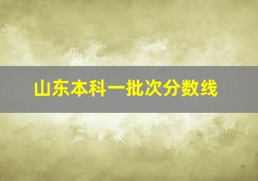 山东本科一批次分数线