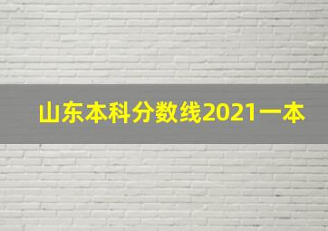 山东本科分数线2021一本