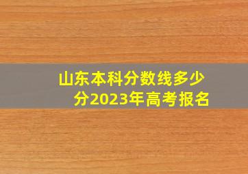 山东本科分数线多少分2023年高考报名