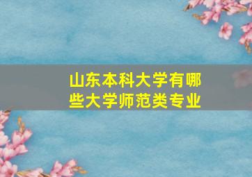 山东本科大学有哪些大学师范类专业