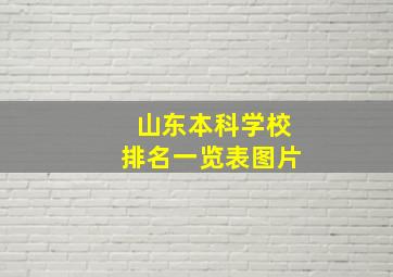 山东本科学校排名一览表图片