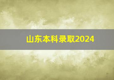 山东本科录取2024