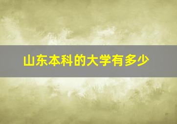 山东本科的大学有多少