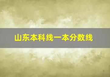 山东本科线一本分数线