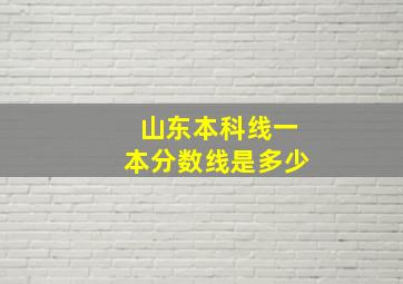 山东本科线一本分数线是多少