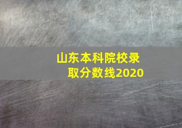 山东本科院校录取分数线2020