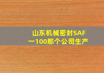 山东机械密封SAF一100那个公司生产