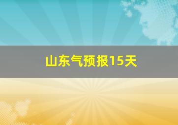 山东气预报15天