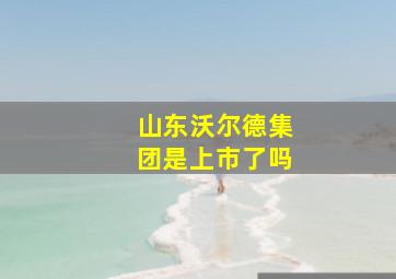 山东沃尔德集团是上市了吗