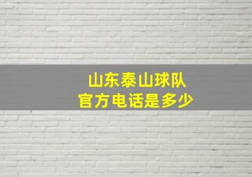 山东泰山球队官方电话是多少